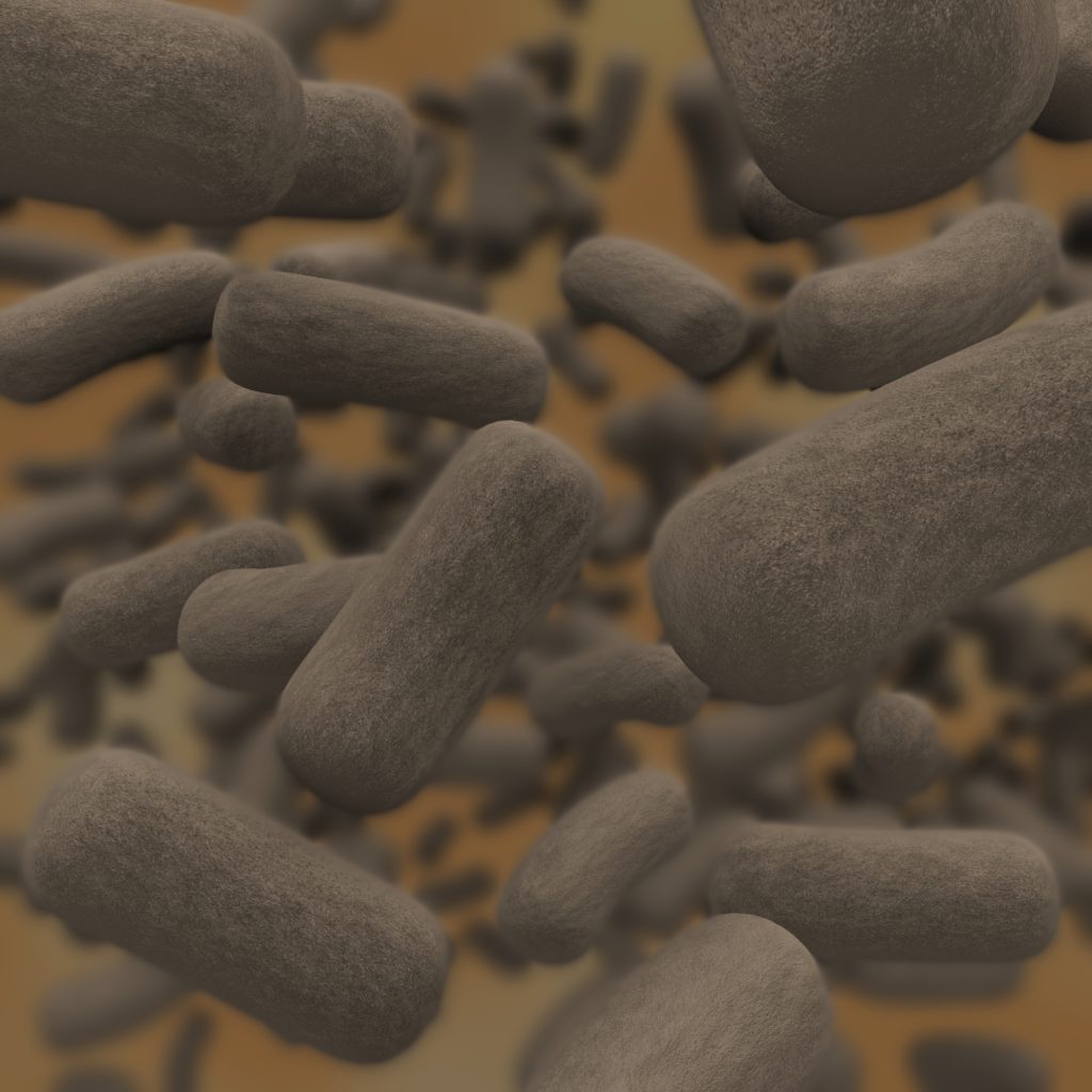 3D illustration of a colony of bacteria with depth of field