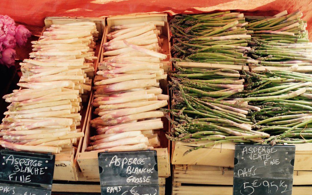 Asparagus Soup